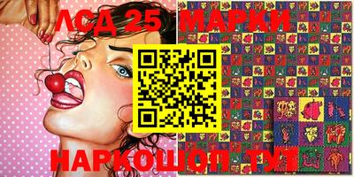 индика Аргун