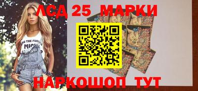 индика Аргун