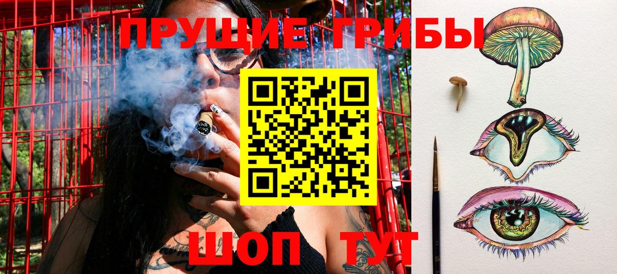 Псилоцибиновые грибы Psilocybe Кумертау